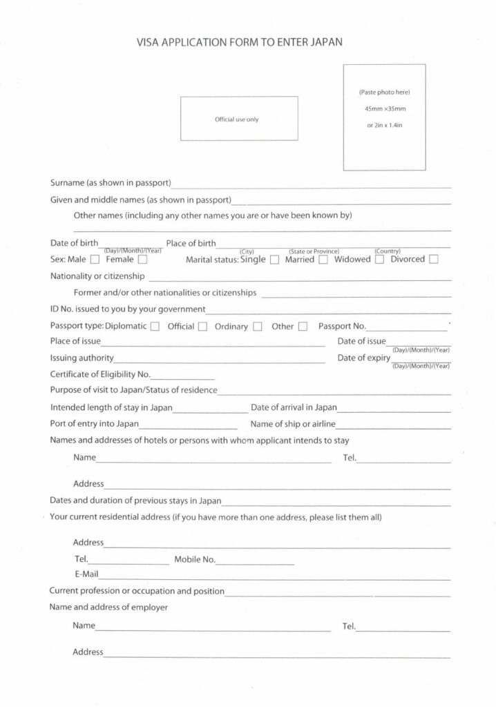 VISA　APPLICATION　FORM　1枚目